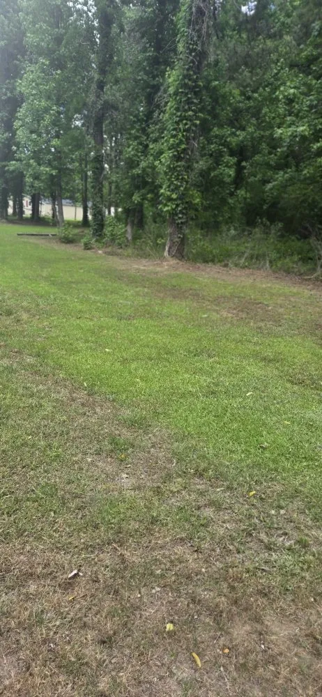 Top-rated outdoor landscaping experts serving Kingstree, SC - K&D Lawncare Solutions Plus