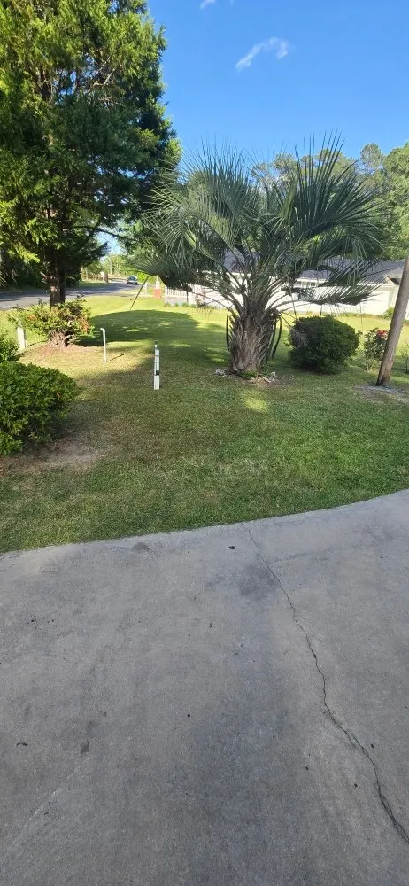 Expert landscape installation in Kingstree, SC - K&D Lawncare Solutions Plus