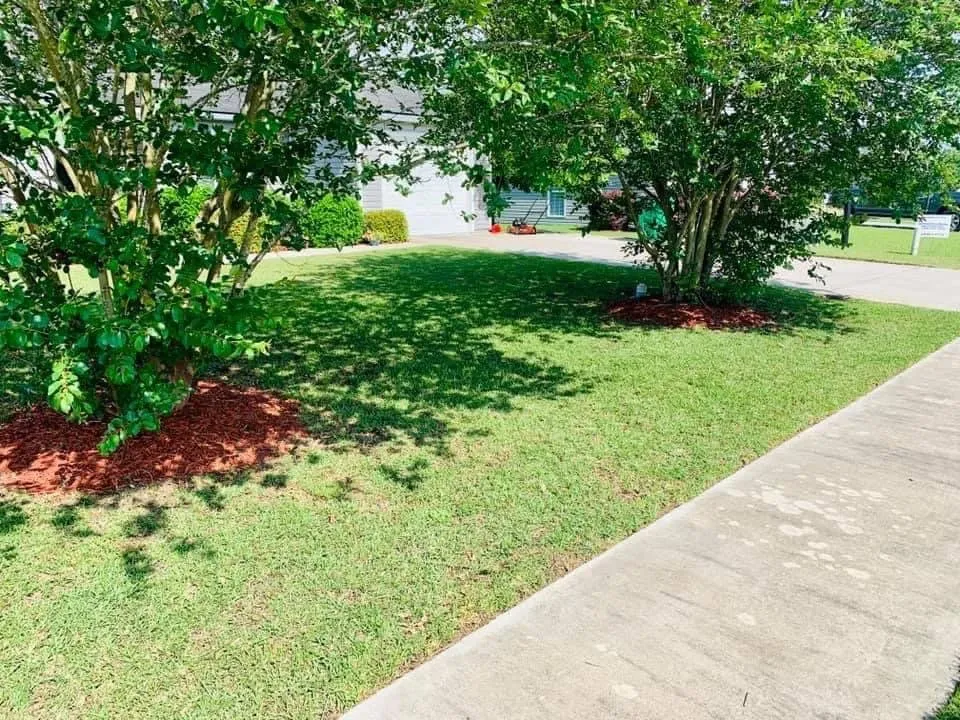 Reliable yard cleanup service experts serving Quitman, GA - Kd Outdoor Services