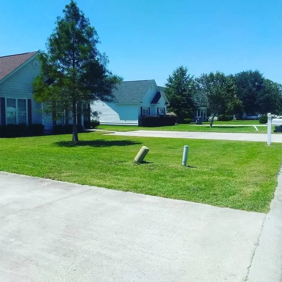 Top-rated yard maintenance near you across Quitman, GA - Kd Outdoor Services