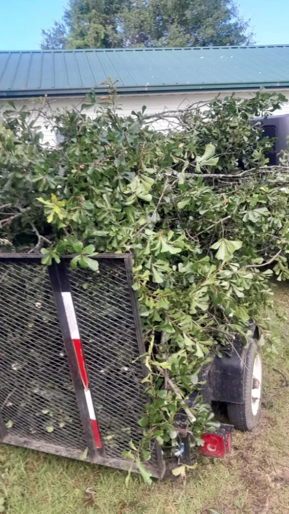 Trusted residential landscaping in Swansea, SC - K&D Service's