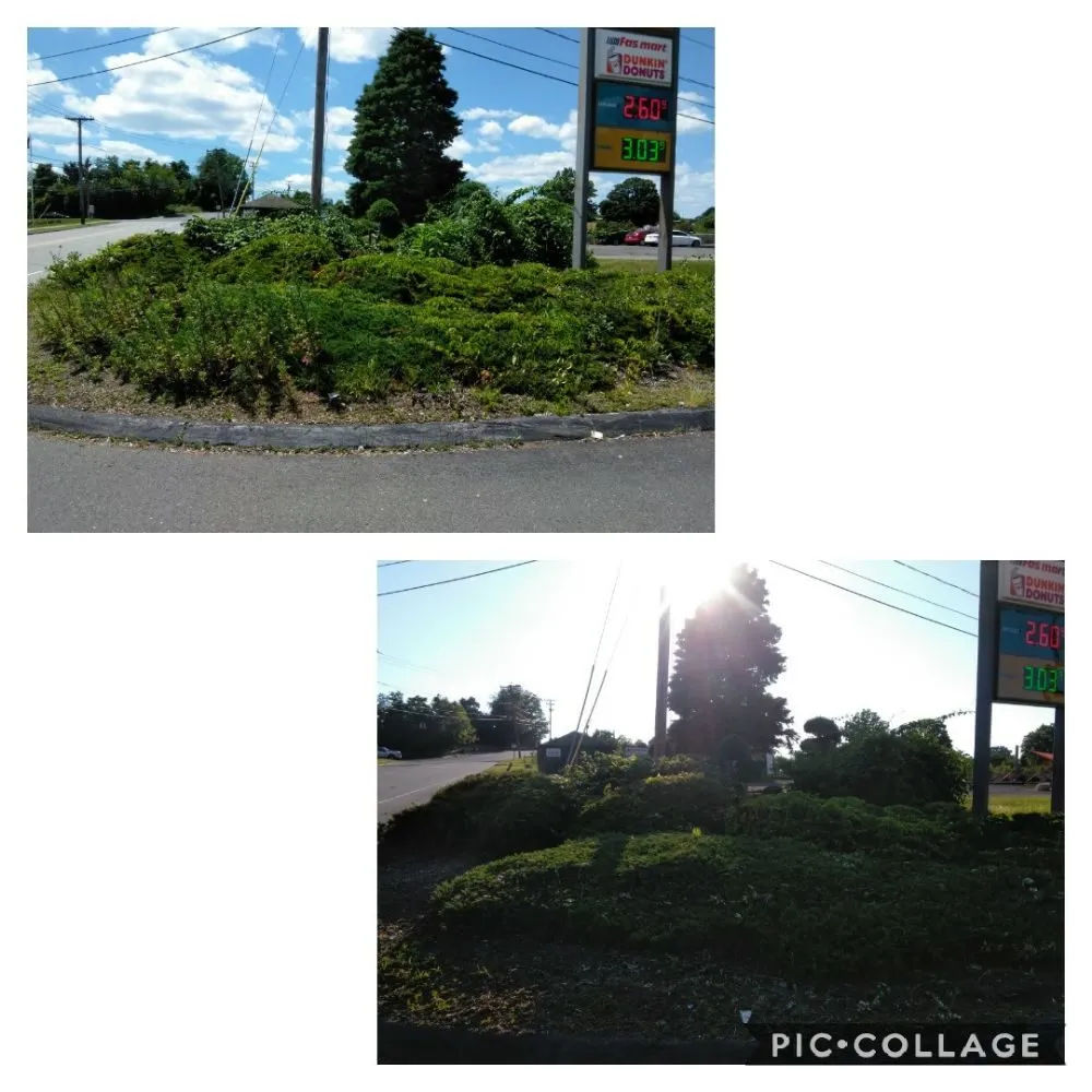 Custom landscape design for year-round maintenance in New Britain, CT by K&D Tree Service And Landscaping