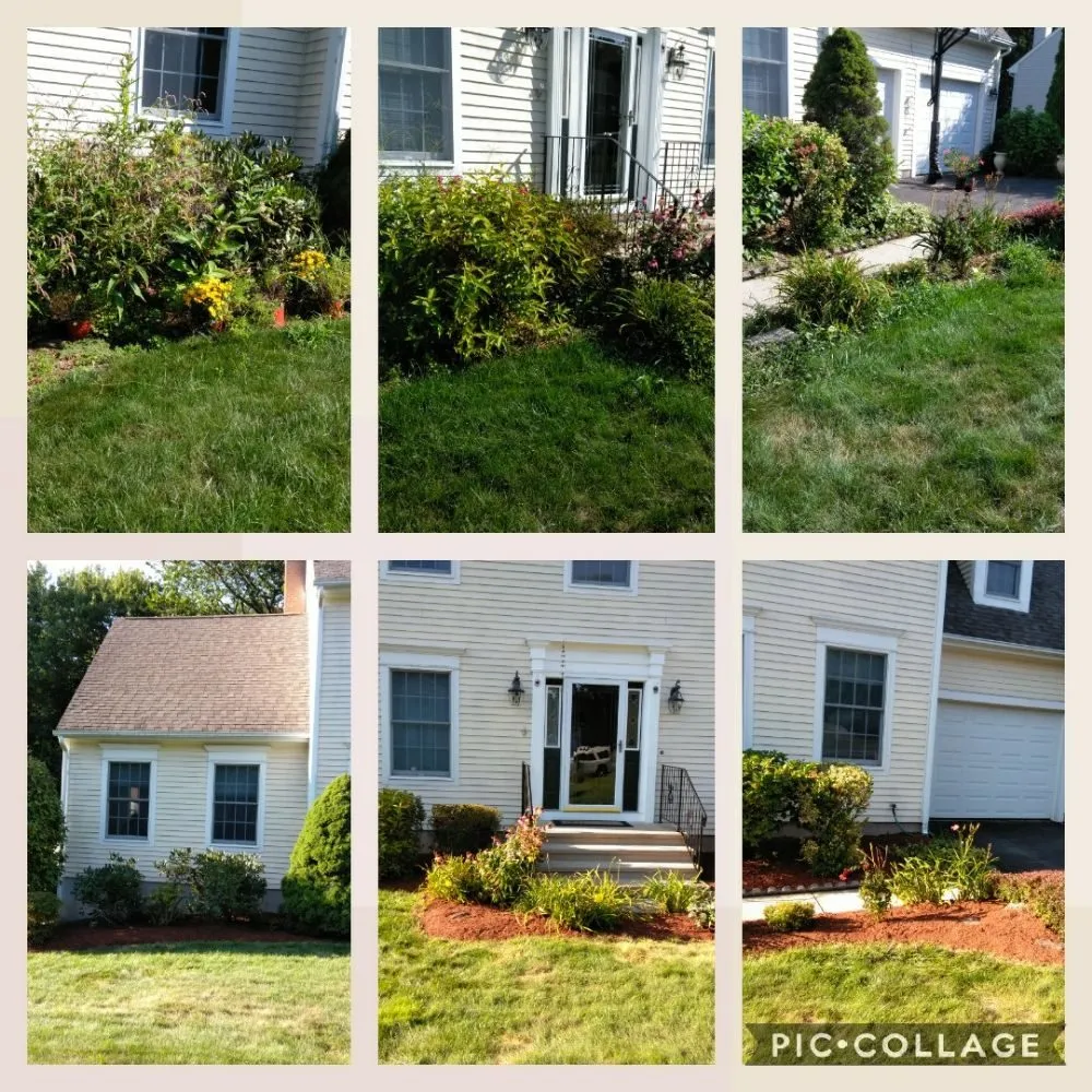 Reliable lawn care service for residential properties across New Britain, CT - K&D Tree Service And Landscaping