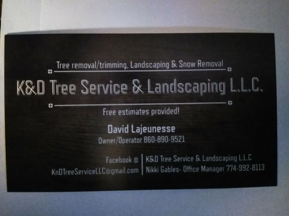 Trusted yard cleanup service near you across New Britain, CT - K&D Tree Service And Landscaping