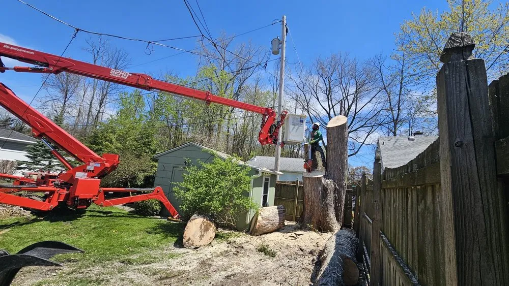 Trusted garden landscaping experts serving Buffalo, NY - KD Tree Service Buffalo NY