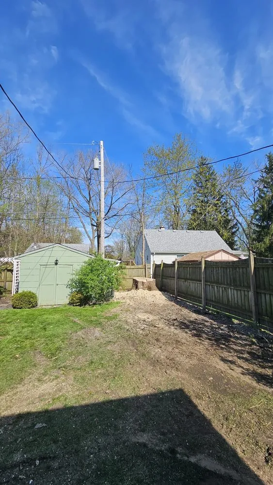 Top-rated yard cleanup service experts serving Buffalo, NY - KD Tree Service Buffalo NY