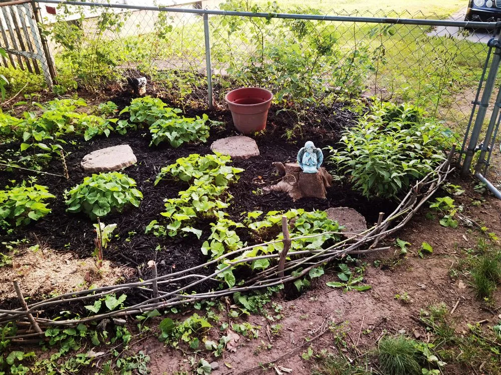 Trusted landscaping services near you in Buffalo, NY by KD Tree Service Buffalo NY