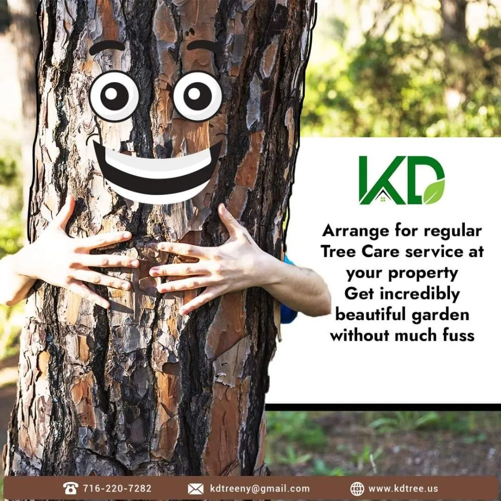 Professional yard maintenance in Buffalo, NY by KD Tree Service Buffalo NY