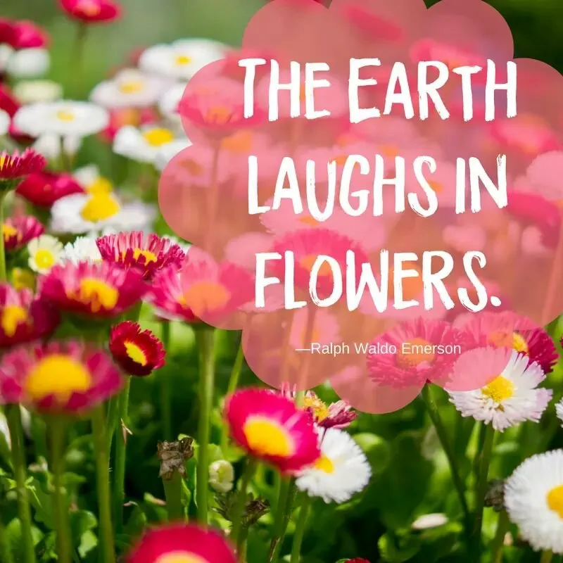 Reliable landscape installation in Buffalo, NY by KD Tree Service Buffalo NY