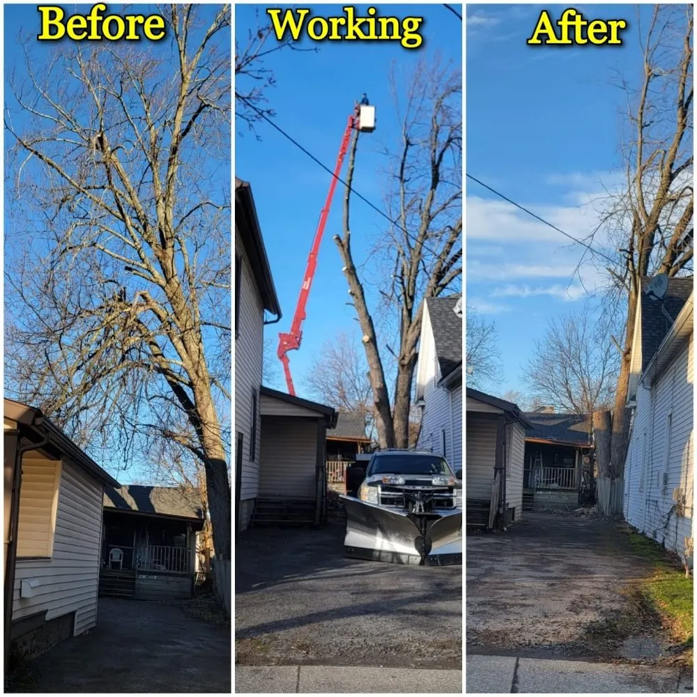 Trusted landscape installation in Buffalo, NY - KD Tree Service Buffalo NY