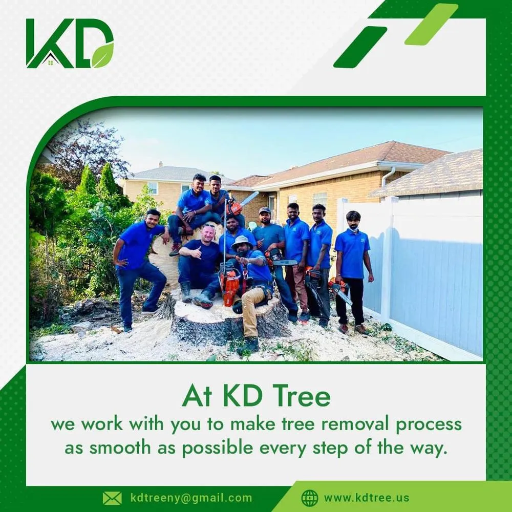 Top-rated residential landscaping near you in Buffalo, NY by KD Tree Service Buffalo NY