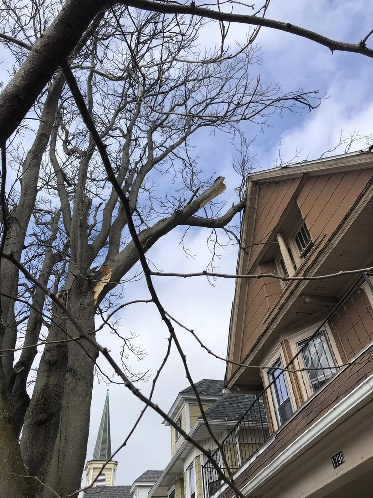 Trusted residential landscaping in Buffalo, NY - KD Tree Service Buffalo NY