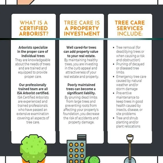 Affordable landscape installation for residential properties across Buffalo, NY - KD Tree Service Buffalo NY