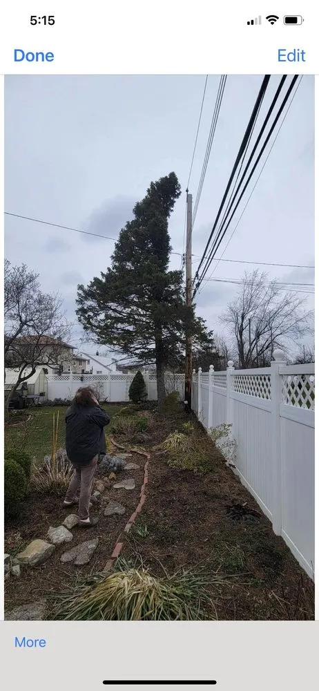 Affordable landscaping services for homes across Buffalo, NY - KD Tree Service Buffalo NY