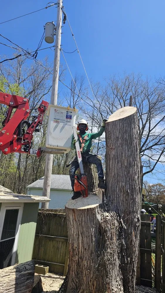 Custom yard maintenance experts serving Buffalo, NY - KD Tree Service Buffalo NY