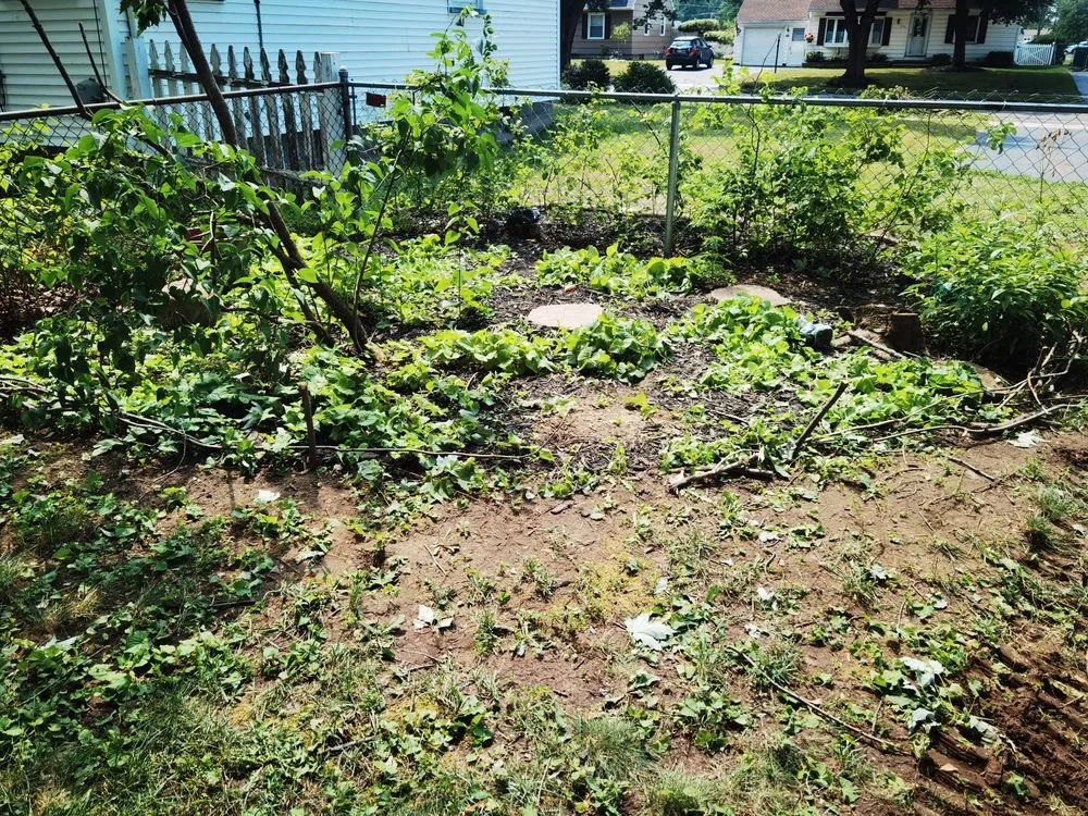 Local lawn mowing service for beautiful yards across Buffalo, NY - KD Tree Service Buffalo NY