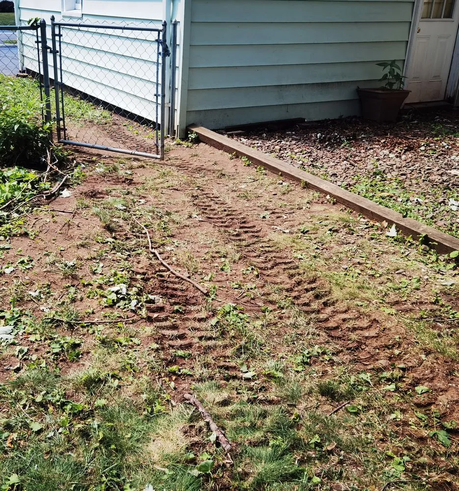 Affordable lawn mowing service in Buffalo, NY - KD Tree Service Buffalo NY