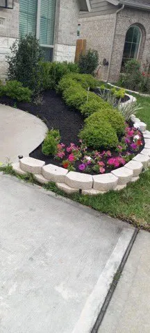 Local yard maintenance experts serving Baytown, TX - KD Tree Services