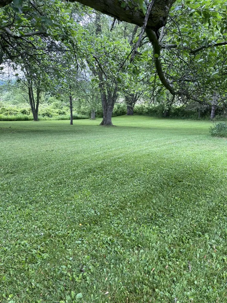 Reliable yard maintenance in FORT JOHNSON, NY - KDB Lawn Care