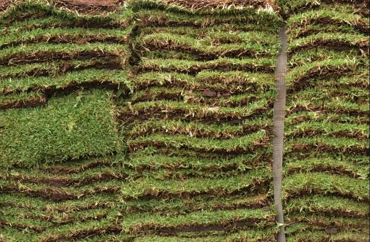 Top-rated lawn mowing service experts serving Nashville, TN - KDEarthCare