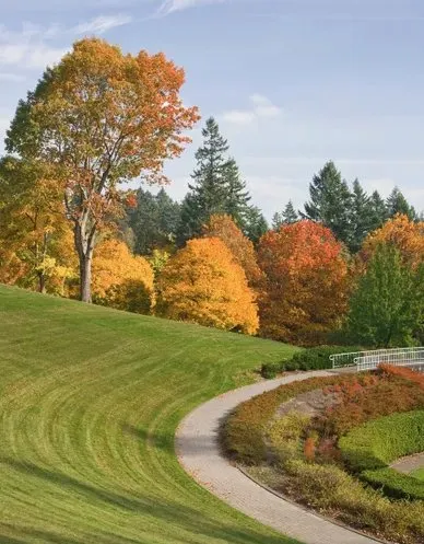 Custom lawn care service experts serving Nashville, TN - KDEarthCare