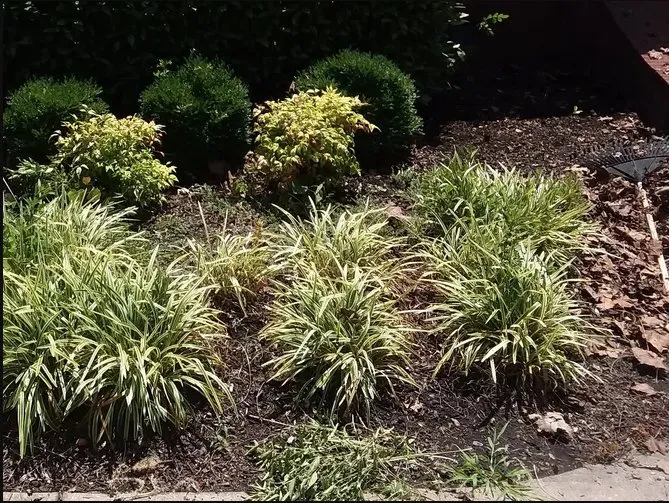 Reliable landscape installation for outdoor upgrades across Nashville, TN - KDEarthCare