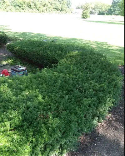 Expert landscape design for outdoor upgrades in Nashville, TN by KDEarthCare