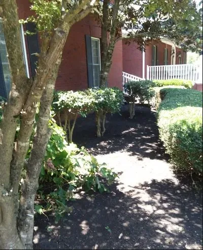 Reliable residential landscaping near you across Nashville, TN - KDEarthCare