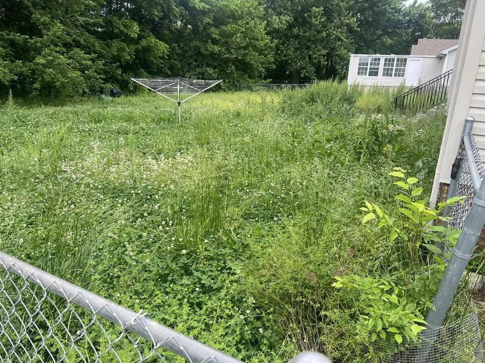 Affordable lawn care service in Clarksville, TN - KDH Services