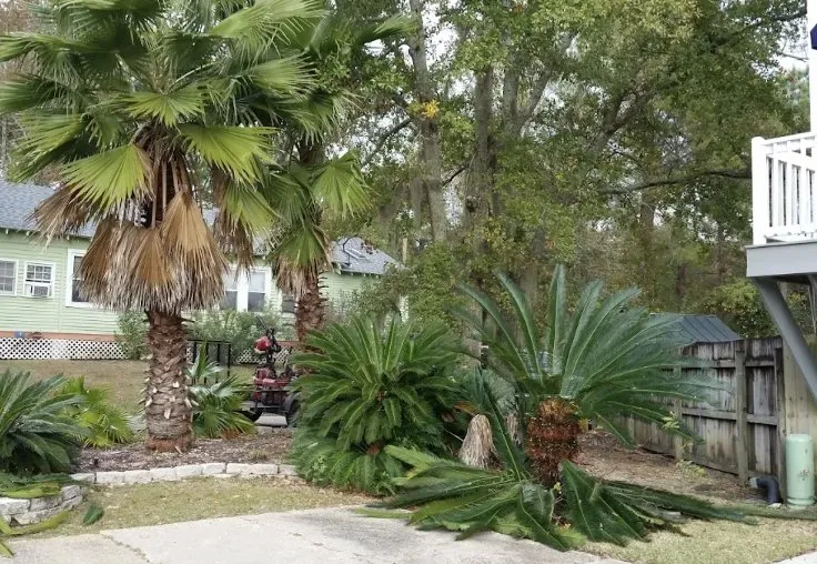 Local residential landscaping with custom design across Covington, LA - KDJ Lawn Maintenance