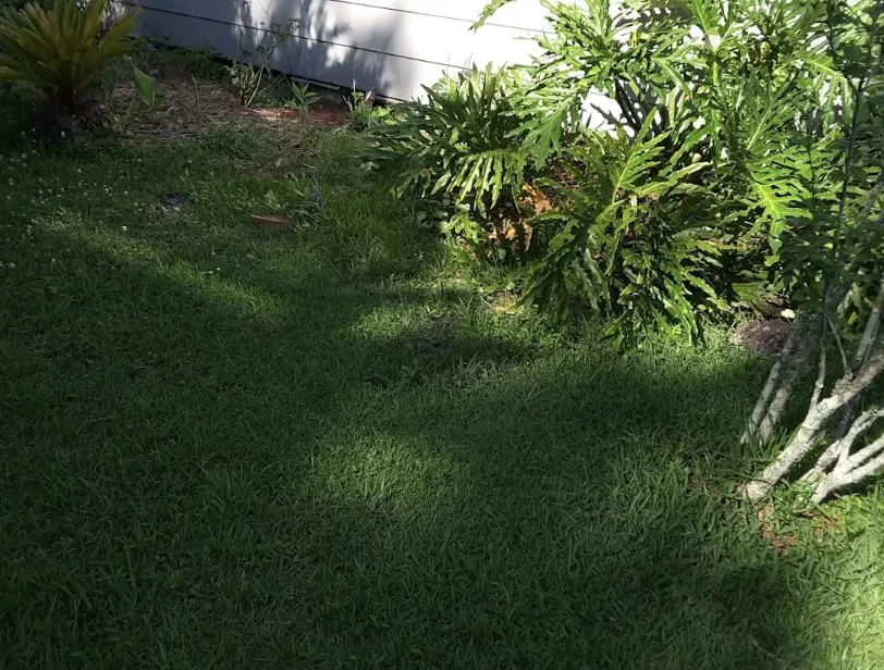 Top-rated landscape design in Covington, LA by KDJ Lawn Maintenance