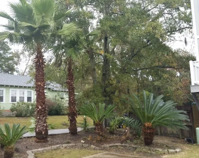 Top-rated landscape installation experts serving Covington, LA - KDJ Lawn Maintenance