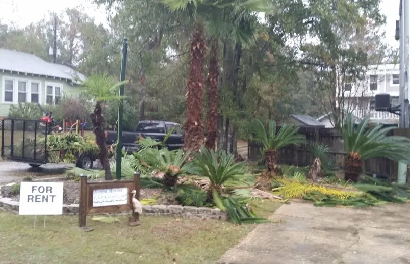 Local landscaping services in Covington, LA by KDJ Lawn Maintenance