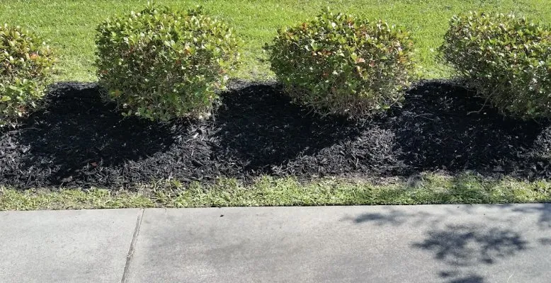 Trusted outdoor landscaping experts serving Covington, LA - KDJ Lawn Maintenance