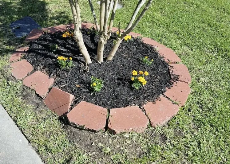 Top-rated landscape installation in Covington, LA by KDJ Lawn Maintenance