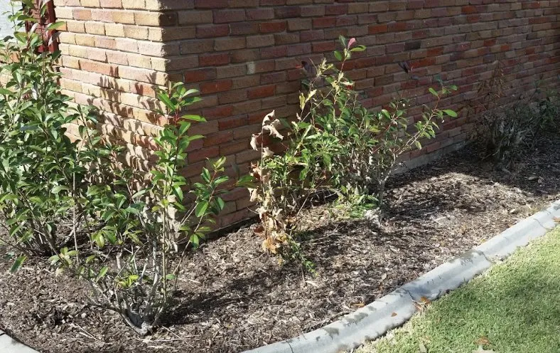 Professional landscape installation experts serving Covington, LA - KDJ Lawn Maintenance