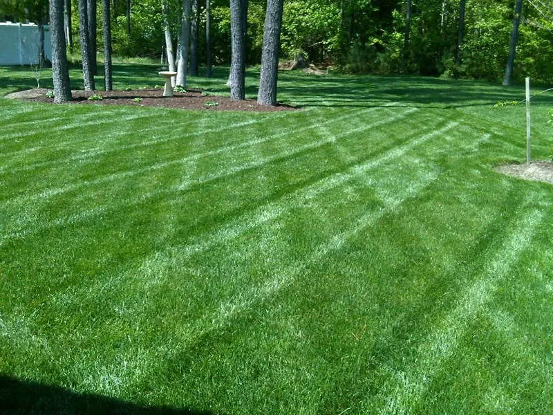 Trusted landscape installation in Greer, SC by KDL Yard & Property Maintenance
