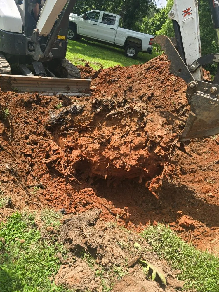 Affordable landscape design in Greer, SC - KDL Yard & Property Maintenance