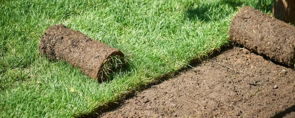 Local landscape installation experts serving Greer, SC - KDL Yard & Property Maintenance