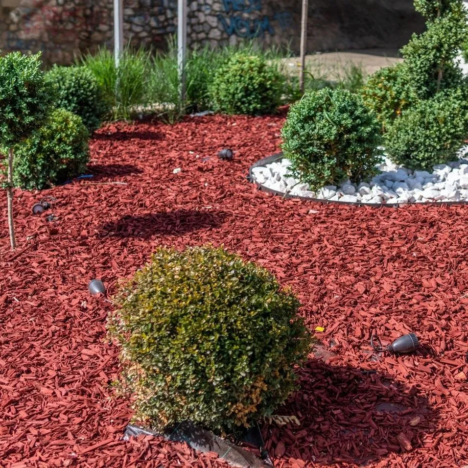 Expert landscape design in Greer, SC - KDL Yard & Property Maintenance