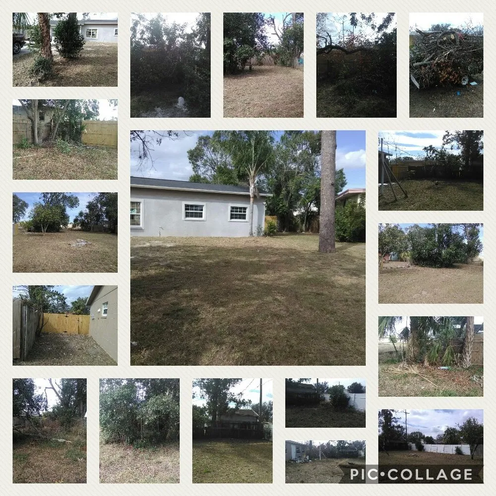 Affordable landscape design for year-round maintenance in Orlando, FL by Kd's Extra Hands Services