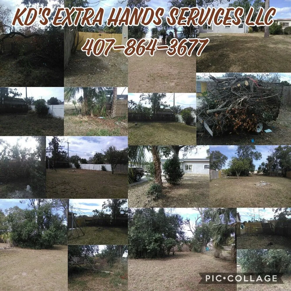 Professional landscaping services in Orlando, FL - Kd's Extra Hands Services
