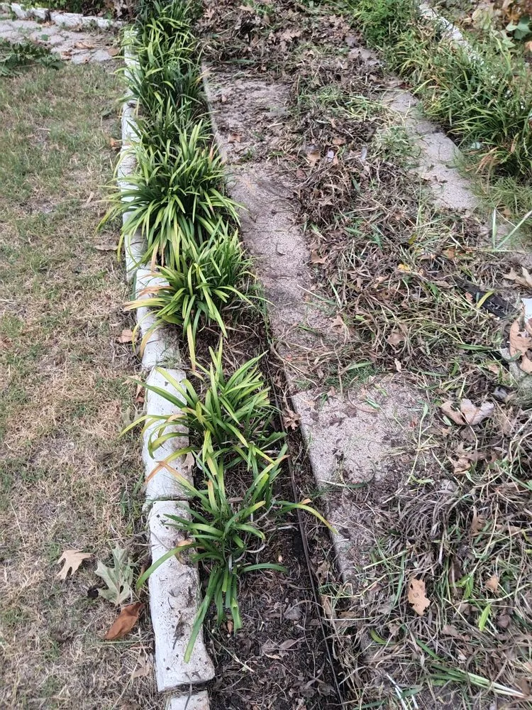 Local residential landscaping in Lewisville, TX by Kd's High Palace