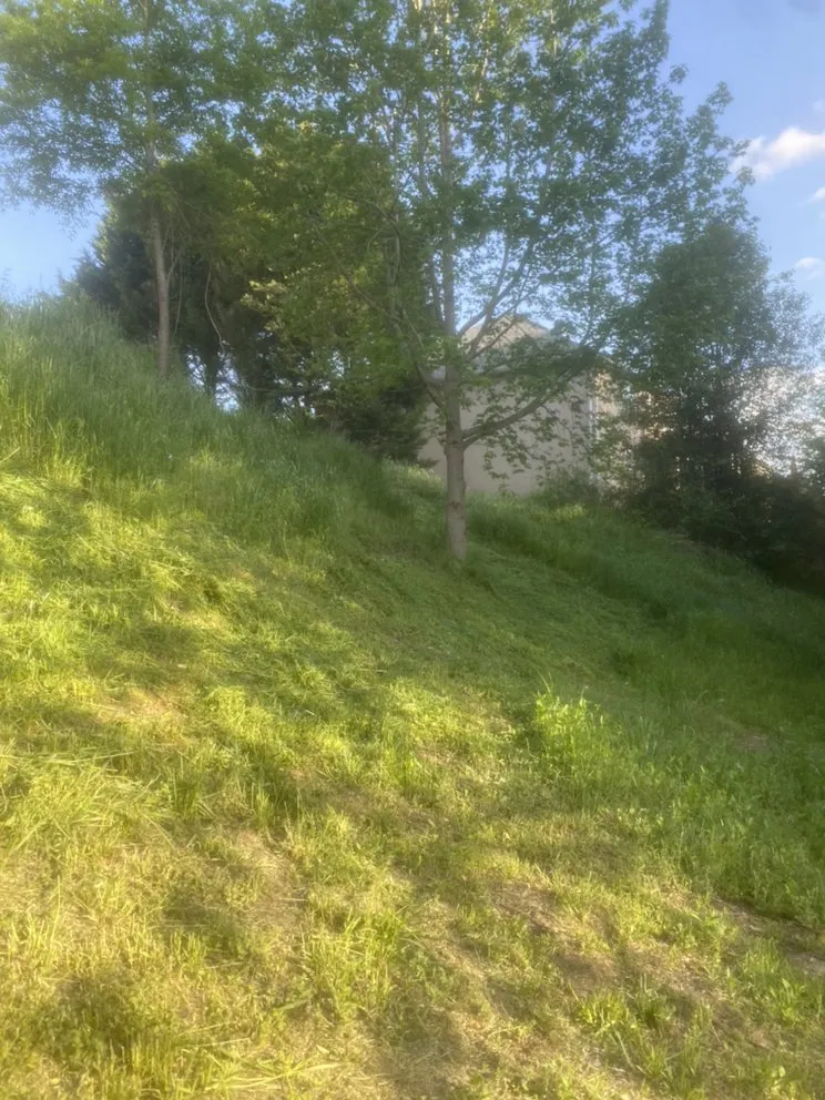 Top-rated residential landscaping in Augusta, GA - Kdubb Lawn Service