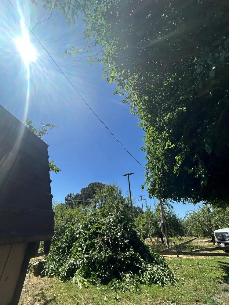 Affordable garden landscaping in Fresno, CA by KDV Tree Service and Landscaping