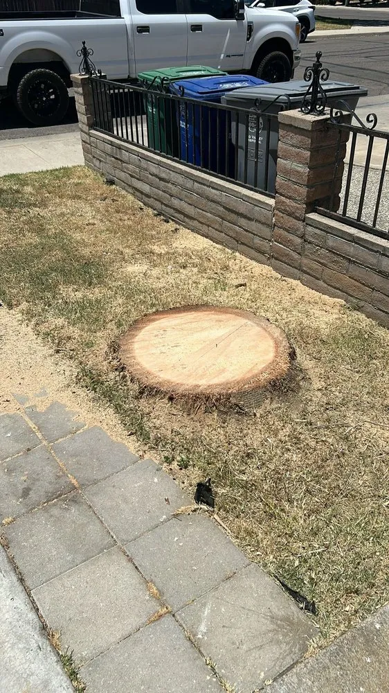 Professional garden landscaping with custom design across Fresno, CA - KDV Tree Service and Landscaping