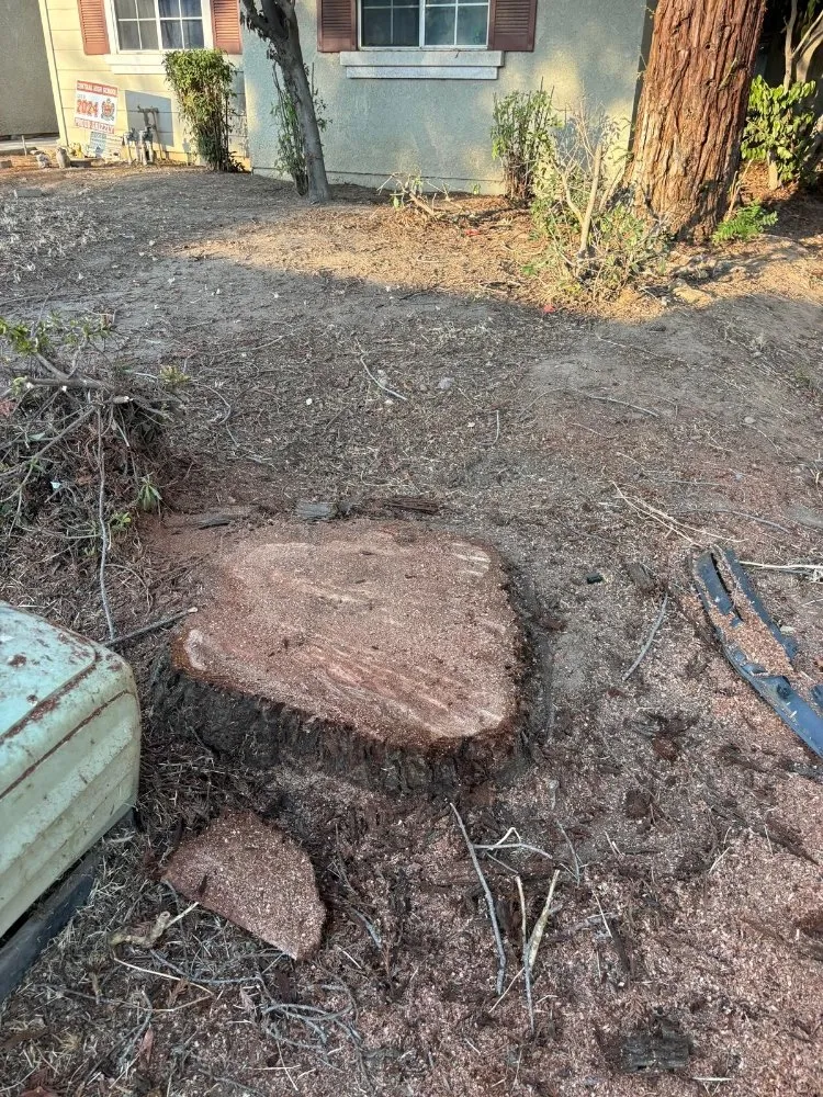 Local landscape design in Fresno, CA - KDV Tree Service and Landscaping