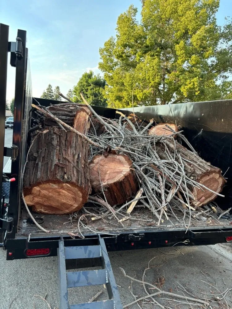 Top-rated outdoor landscaping experts serving Fresno, CA - KDV Tree Service and Landscaping