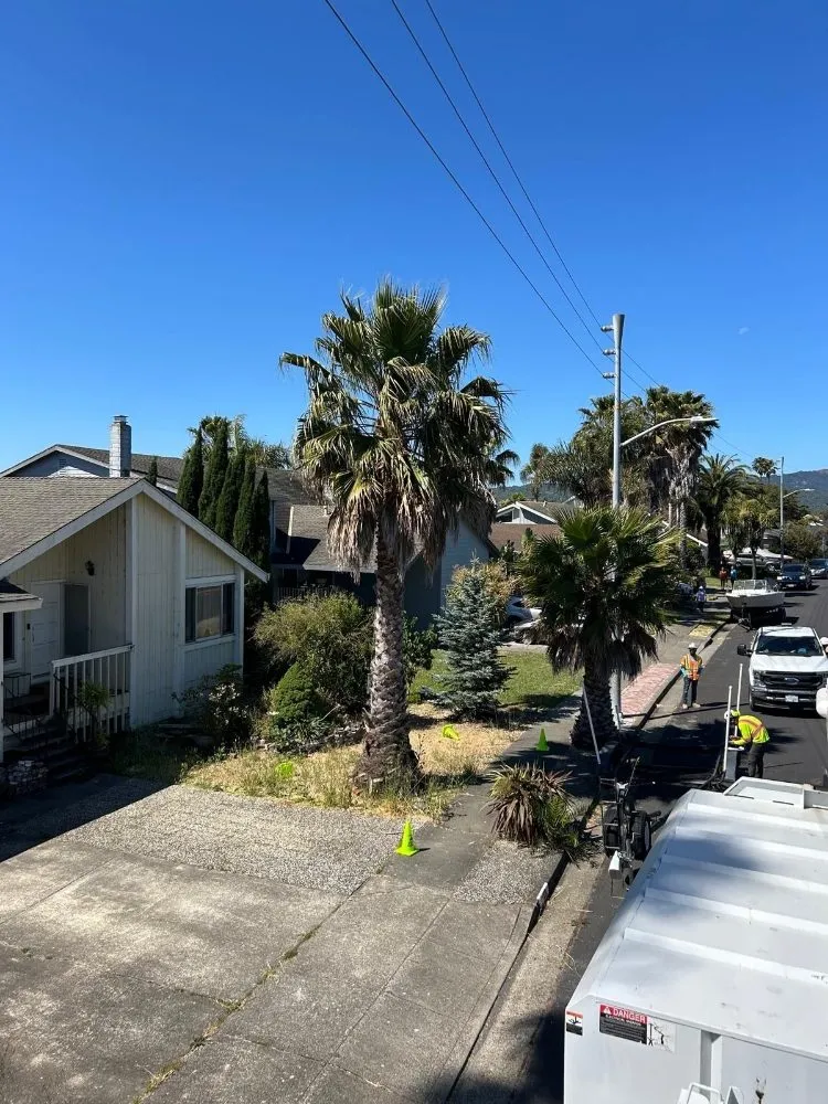 Reliable landscaping services for year-round maintenance in Fresno, CA by KDV Tree Service and Landscaping