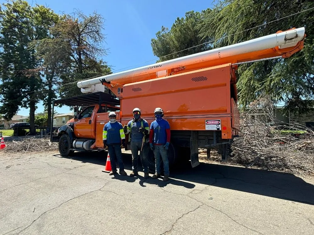 Affordable lawn care service for outdoor upgrades in Fresno, CA by KDV Tree Service and Landscaping